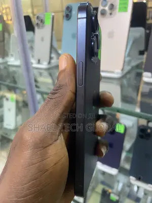 Apple iPhone 15 Pro Max 256 GB Black