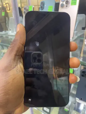 Apple iPhone 15 Pro Max 256 GB Black