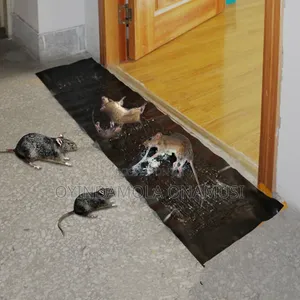 Rat Gum - Rat Trap
