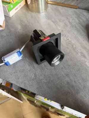 Adjustable Spot/Parapet Light