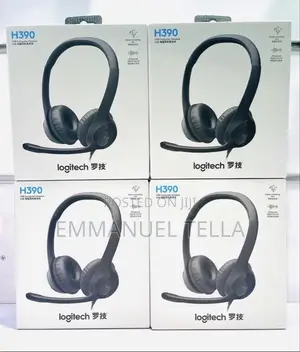 H390 USB Headset With Microphone