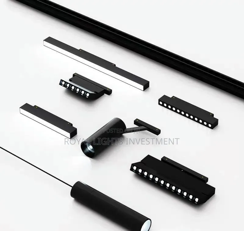 Magnetic Track Light