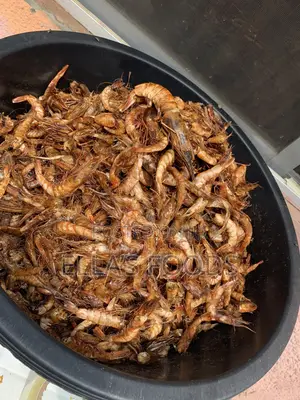 Big Crayfish (Prawns)