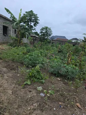 Half Plot of Land for Sale in an Estate at Ayobo Lagos