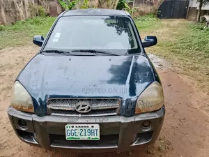 Hyundai Tucson 2008 Blue