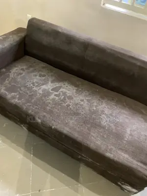 Pro Sofa Cleaning Service