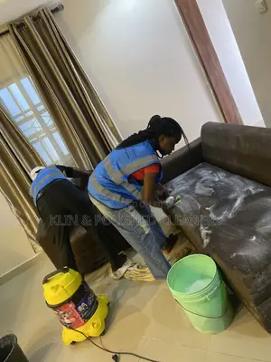 Pro Sofa Cleaning Service