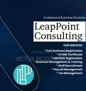 LeapPoint Consulting