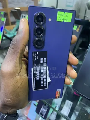 Samsung Galaxy Z Fold6 256 GB Blue