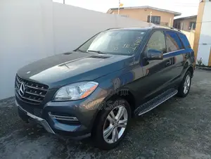 Mercedes-Benz M Class 2015 Black