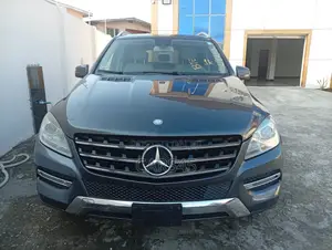 Mercedes-Benz M Class 2015 Black