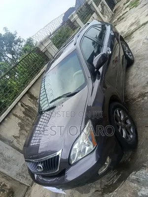 Lexus RX 2009 Gray