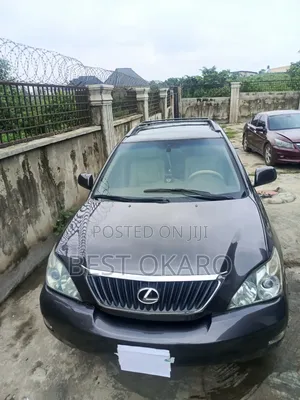 Lexus RX 2009 Gray