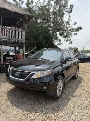 Lexus RX 350 2010 Gray