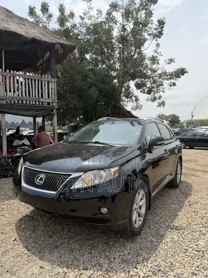 Lexus RX 350 2010 Gray