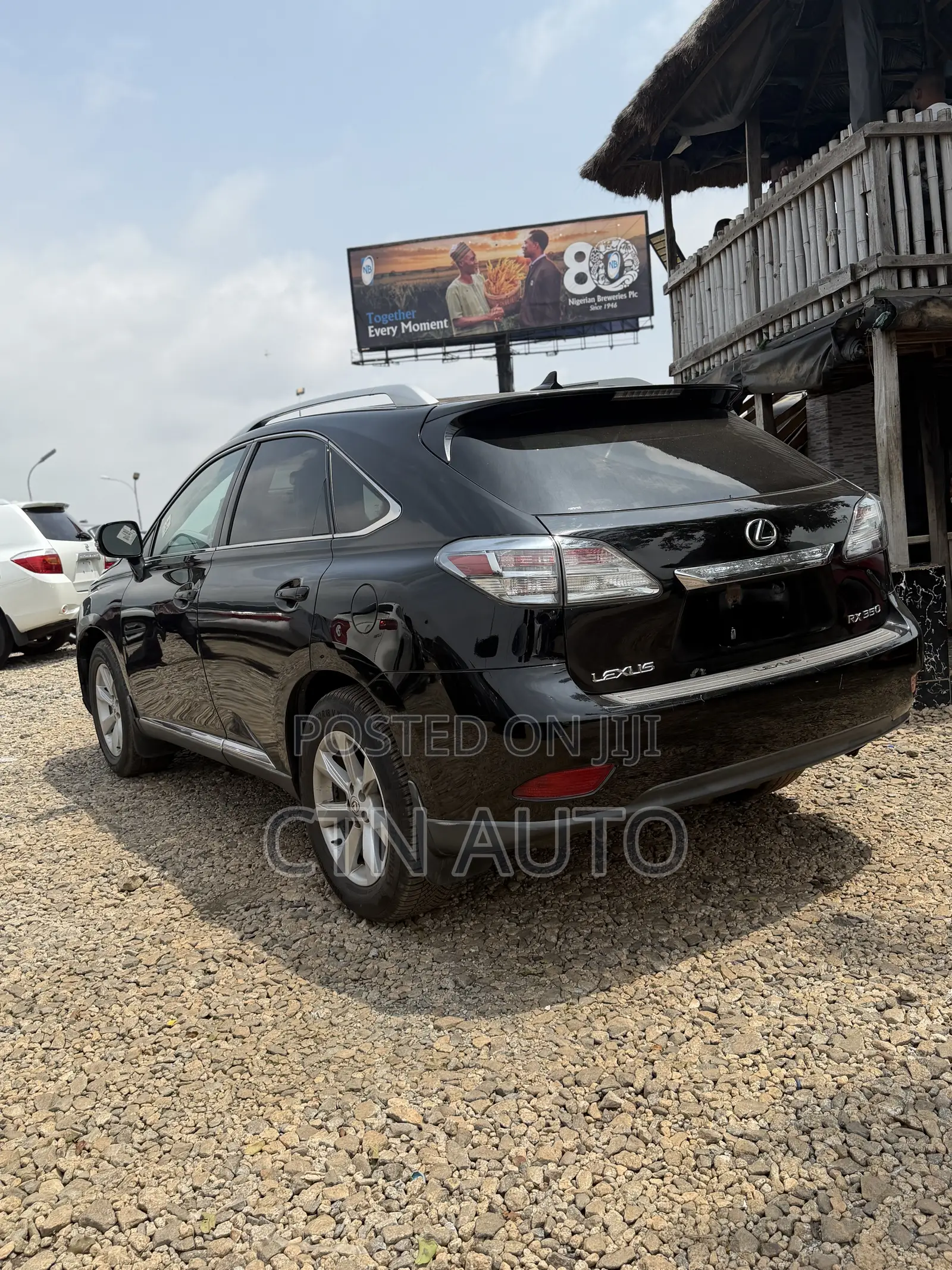Lexus RX 350 2010 Gray