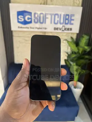 Apple iPhone 16 Pro 128 GB Gray