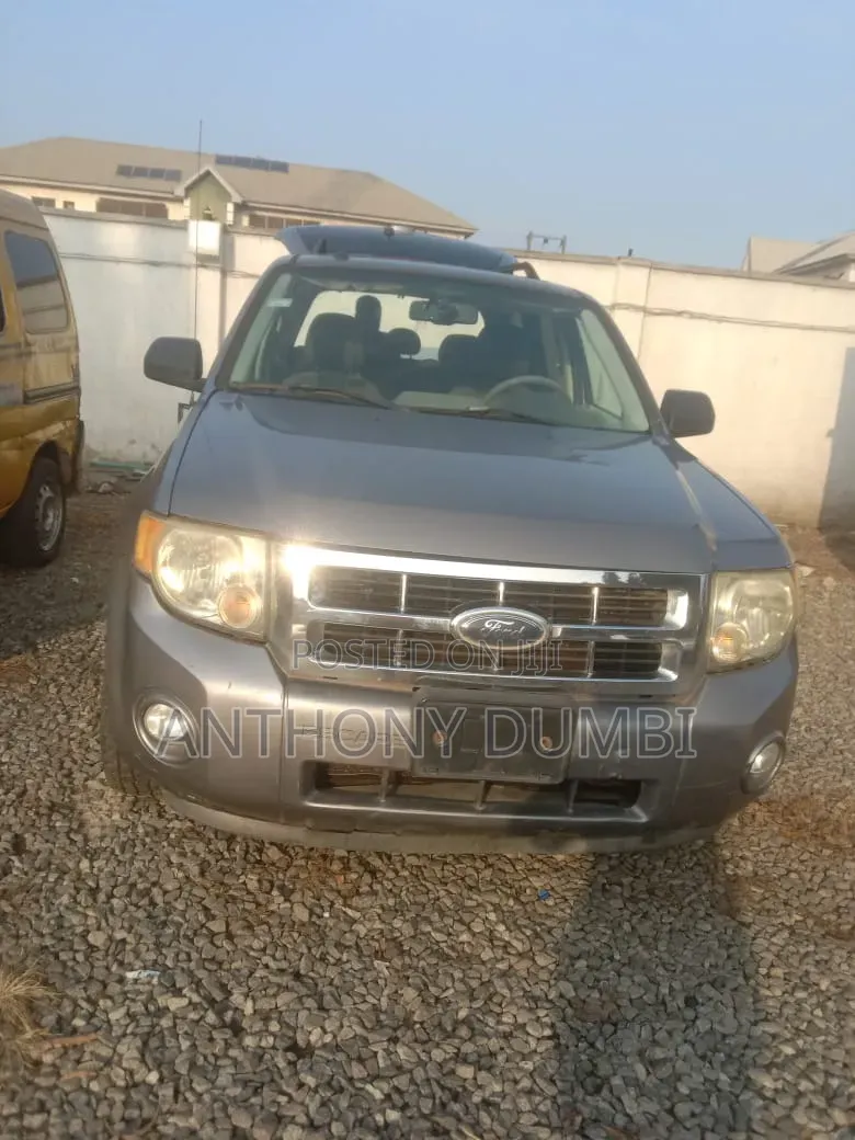 Ford Edge 2008 Silver