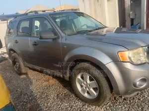 Ford Edge 2008 Silver