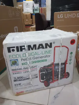 FIRMAN ECO3990ES 3.5kva Generator for Retail Shops and Stores