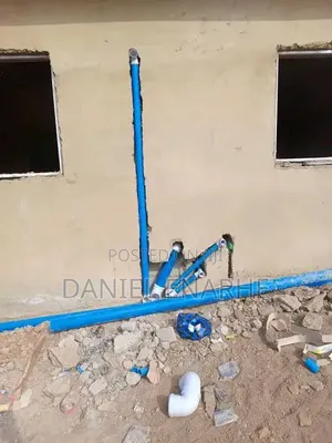 Professional Plumber