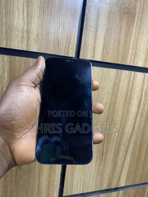 Apple iPhone 12 Pro Max 128 GB Graphite