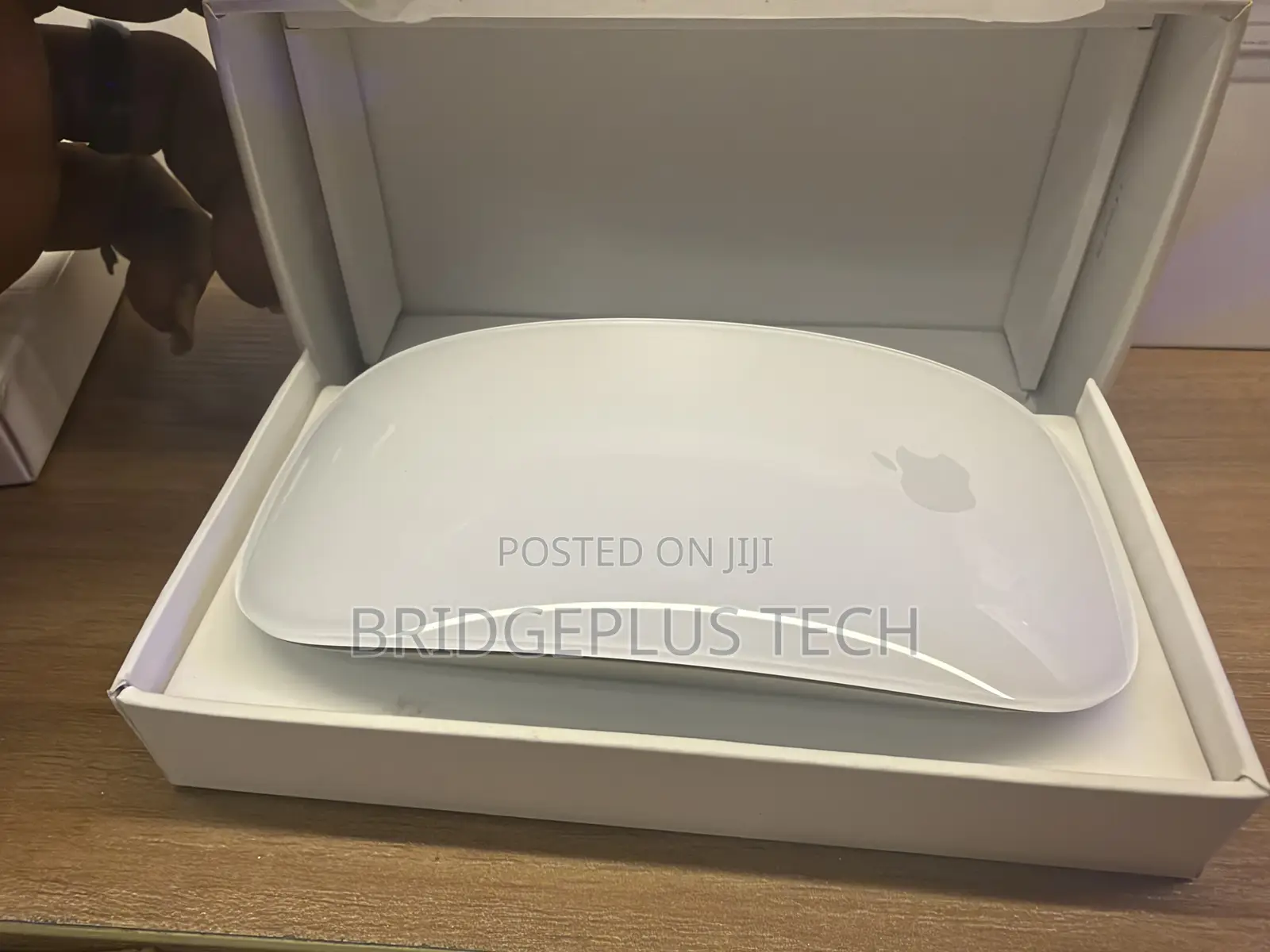 Apple Magic Mouse (USB-C, White)