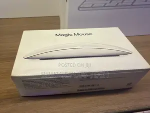 Apple Magic Mouse (USB-C, White)
