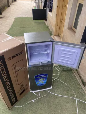 Snowsea BCD-166 120L Top Freezer Refrigerator for Small Spaces
