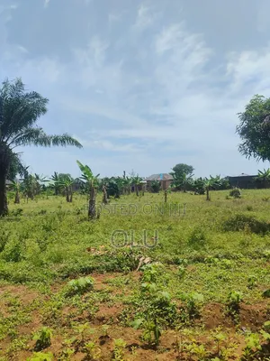2 Accres of Land Fenced at Onibuku Bus Stop, After Canaanland, Ota.
