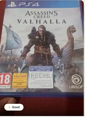 Assassins Creed Valhalla