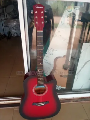 Brand New Acoustic Guitar