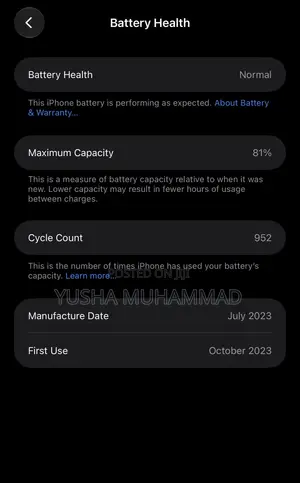 Apple iPhone 15 Pro Max 512 GB Blue