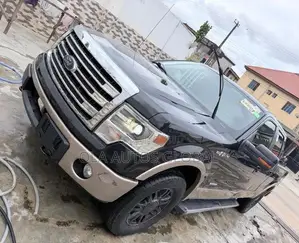 Ford F-150 2013 Gray