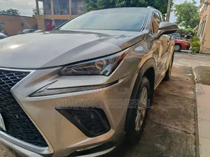 Lexus NX 300 FWD 2019 Silver