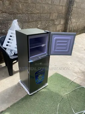Snowsea BCD-166 120L Two-Door Refrigerator With Upper Freezer Space