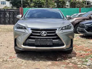 Lexus NX 2015 Gray