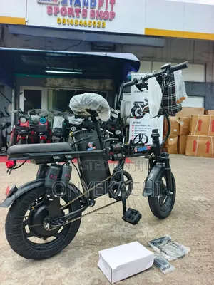 Electric Bike