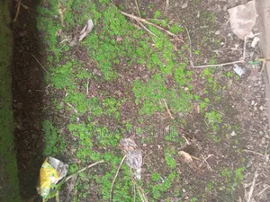 100 Hectares at Karasana West Abuja for Sale