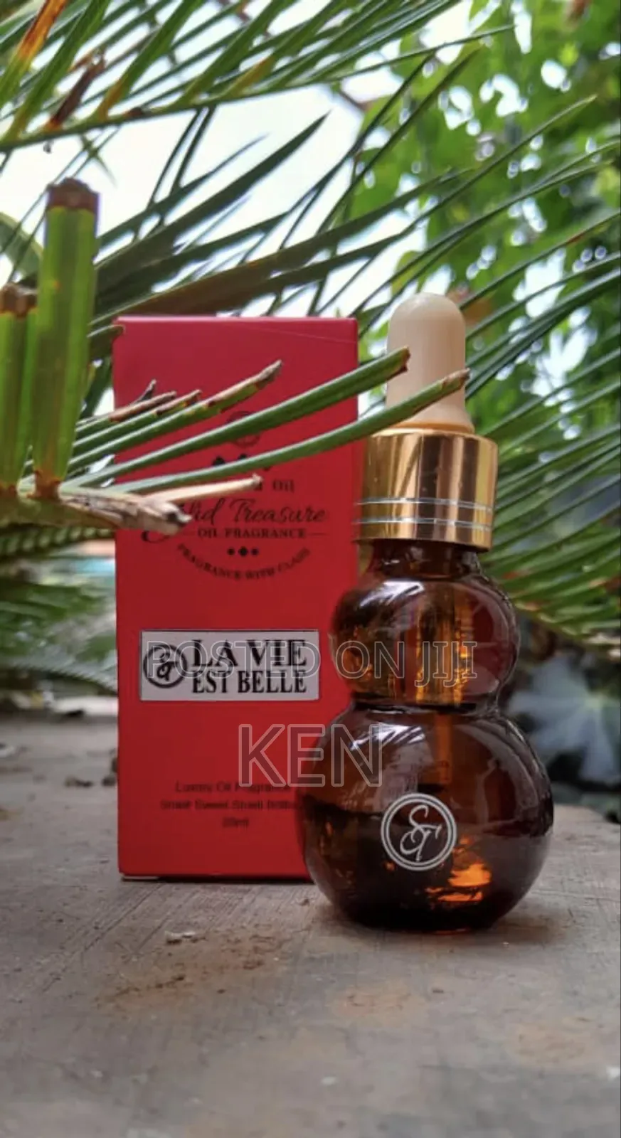 Solid Treasure Oil Perfumes