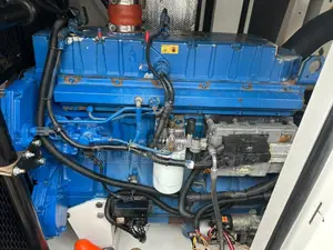 250kva Fg Wilson Soundproof Generator Home and Commercial Use