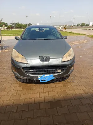 Peugeot 407 2009 Gray