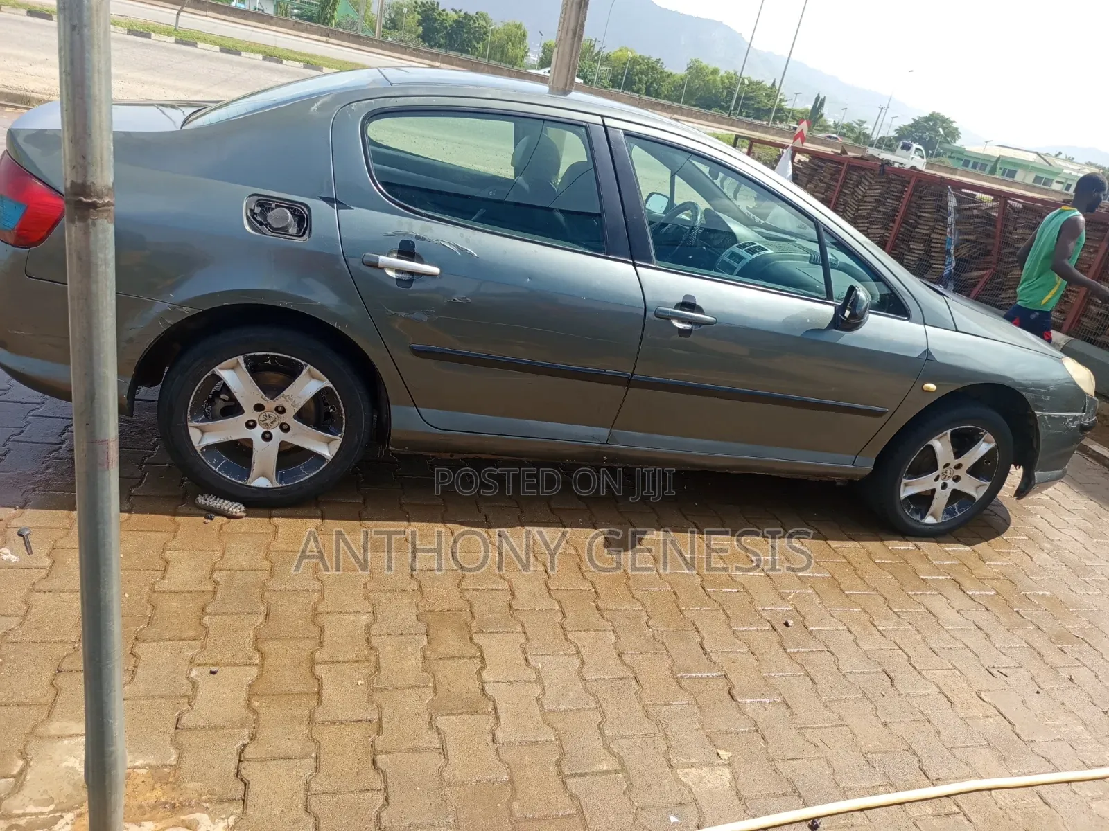 Peugeot 407 2009 Gray