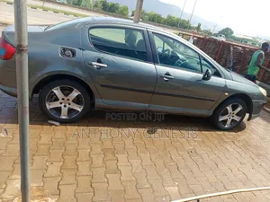 Peugeot 407 2009 Gray