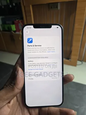 Apple iPhone 12 Pro Max 256 GB Blue