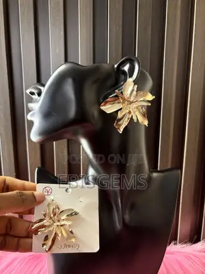 Gift Worthy Earrings