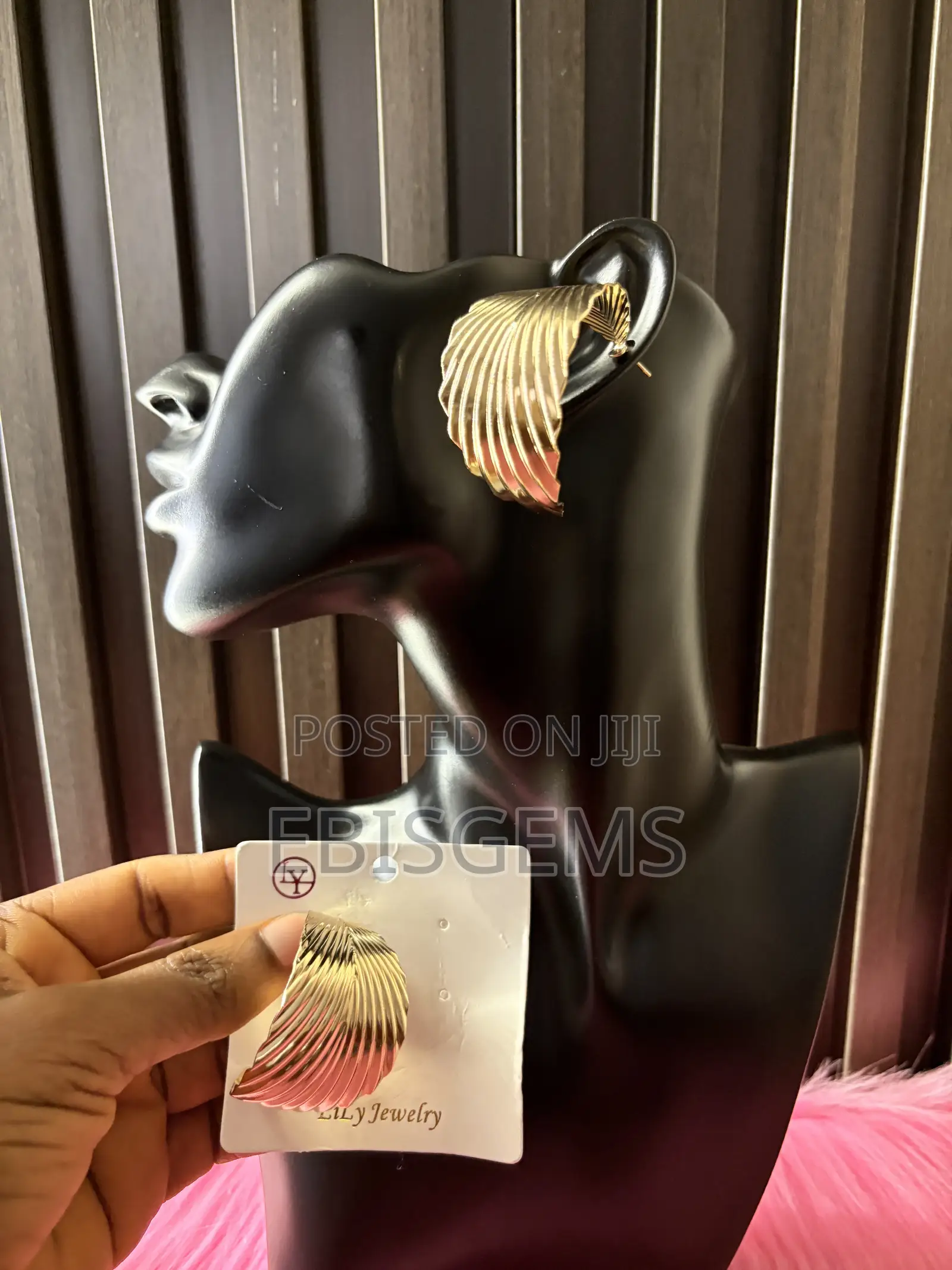Big Hoops Earring
