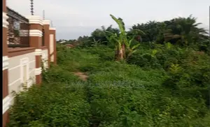 Land for Sale in Onna-Ara at a Good Price