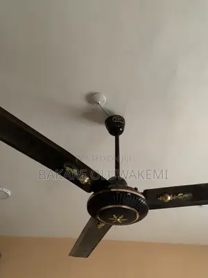 Neatly Used Ceiling Fan