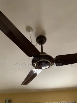 Neatly Used Ceiling Fan
